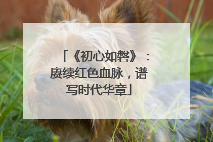 《初心如磐》：赓续红色血脉，谱写时代华章