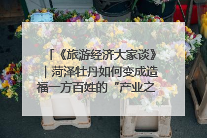 《旅游经济大家谈》｜菏泽牡丹如何变成造福一方百姓的“产业之花”“富民之花”？