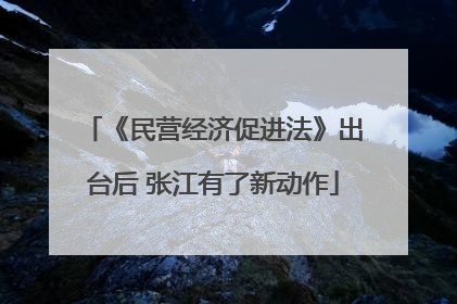 《民营经济促进法》出台后 张江有了新动作