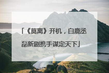 《莫离》开机，白鹿丞磊新剧携手谋定天下
