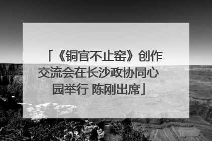 《铜官不止窑》创作交流会在长沙政协同心园举行 陈刚出席