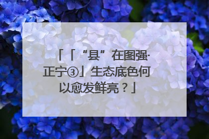 「“县”在图强·正宁③」生态底色何以愈发鲜亮？