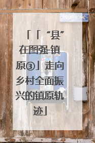 「“县”在图强·镇原③」走向乡村全面振兴的镇原轨迹