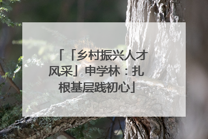 「乡村振兴人才风采」申学林：扎根基层践初心