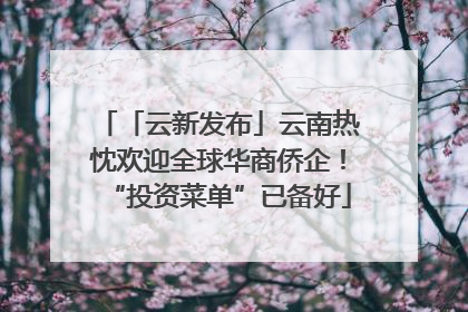 「云新发布」云南热忱欢迎全球华商侨企！“投资菜单”已备好