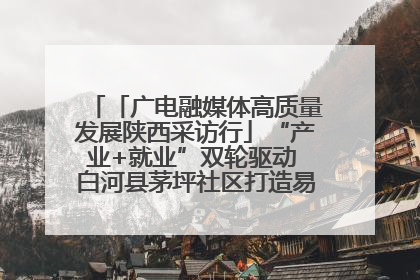 「广电融媒体高质量发展陕西采访行」“产业+就业”双轮驱动 白河县茅坪社区打造易地搬迁后扶新样本