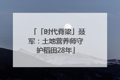 「时代脊梁」聂军：土地营养师守护稻田28年