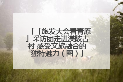 「旅发大会看青原」采访团走进渼陂古村 感受文旅融合的独特魅力（图）