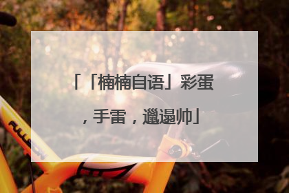「楠楠自语」彩蛋，手雷，邋遢帅