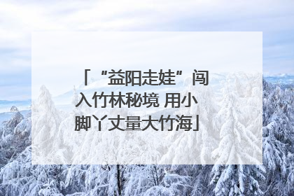 “益阳走娃”闯入竹林秘境 用小脚丫丈量大竹海