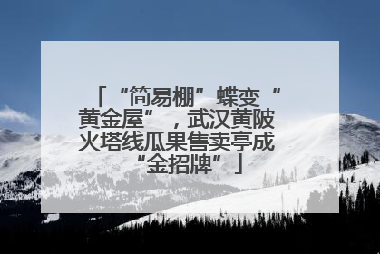 “简易棚”蝶变“黄金屋”，武汉黄陂火塔线瓜果售卖亭成“金招牌”