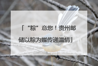 “粽”意您！贵州邮储以粽为媒传递温情