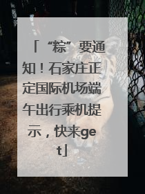“粽”要通知！石家庄正定国际机场端午出行乘机提示，快来get