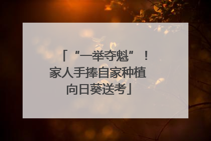 “一举夺魁”！家人手捧自家种植向日葵送考