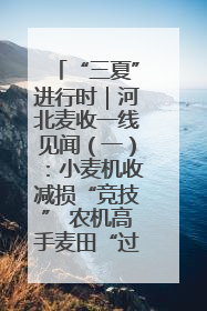 “三夏”进行时｜河北麦收一线见闻（一）：小麦机收减损“竞技” 农机高手麦田“过招”