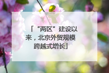 “两区”建设以来，北京外贸规模跨越式增长