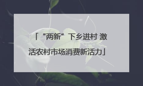 “两新”下乡进村 激活农村市场消费新活力