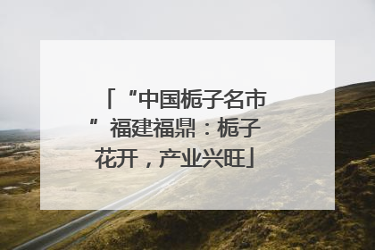 “中国栀子名市”福建福鼎：栀子花开，产业兴旺