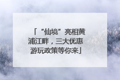 “仙境”亮相黄浦江畔，三大优惠游玩政策等你来