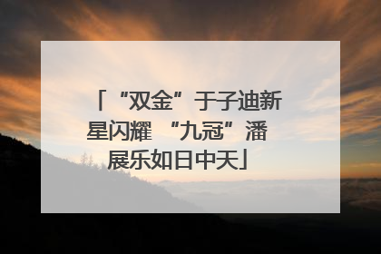 “双金”于子迪新星闪耀 “九冠”潘展乐如日中天