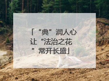 “典”润人心 让“法治之花”常开长盛