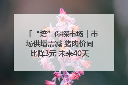 “培”你探市场｜市场供增需减 猪肉价同比降3元 未来40天便宜猪肉敞开吃