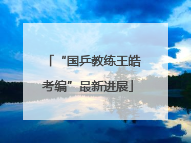 “国乒教练王皓考编”最新进展