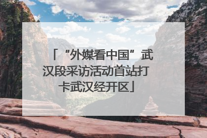 “外媒看中国”武汉段采访活动首站打卡武汉经开区