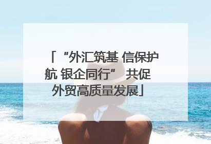 “外汇筑基 信保护航 银企同行” 共促外贸高质量发展