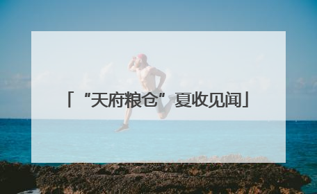 “天府粮仓”夏收见闻