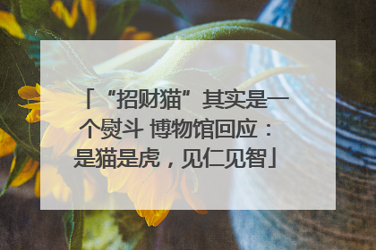 “招财猫”其实是一个熨斗 博物馆回应：是猫是虎，见仁见智