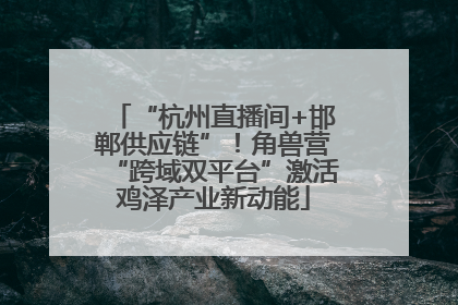 “杭州直播间+邯郸供应链”！角兽营“跨域双平台”激活鸡泽产业新动能