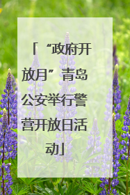 “政府开放月”青岛公安举行警营开放日活动