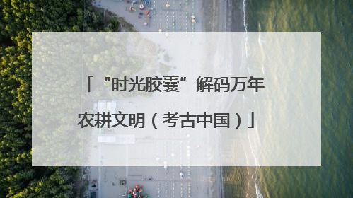 “时光胶囊”解码万年农耕文明（考古中国）