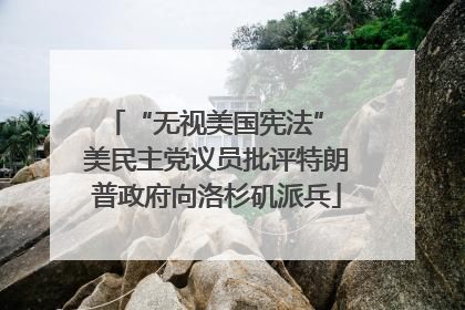 “无视美国宪法” 美民主党议员批评特朗普政府向洛杉矶派兵