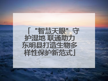 “智慧天眼”守护湿地 联通助力东明县打造生物多样性保护新范式