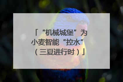 “机械城堡”为小麦智能“控水”（三夏进行时）