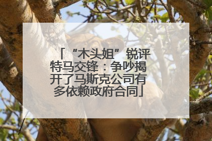 “木头姐”锐评特马交锋：争吵揭开了马斯克公司有多依赖政府合同