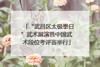 “武昌区太极拳日”武术展演暨中国武术段位考评赛举行