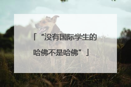 “没有国际学生的哈佛不是哈佛”