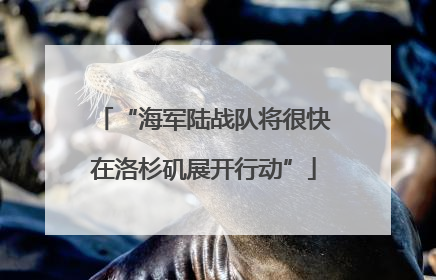 “海军陆战队将很快在洛杉矶展开行动”