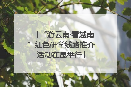 “游云南·看越南”红色研学线路推介活动在昆举行