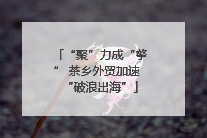 “聚”力成“擎” 茶乡外贸加速“破浪出海”