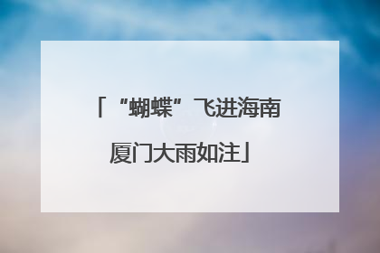 “蝴蝶”飞进海南 厦门大雨如注