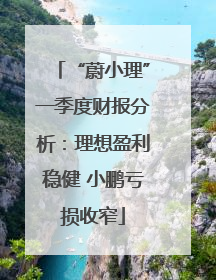 “蔚小理”一季度财报分析：理想盈利稳健 小鹏亏损收窄