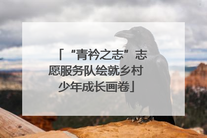 “青衿之志”志愿服务队绘就乡村少年成长画卷