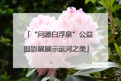 “问源白浮泉”公益摄影展展示运河之美