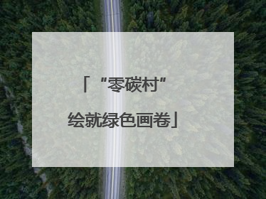 “零碳村” 绘就绿色画卷