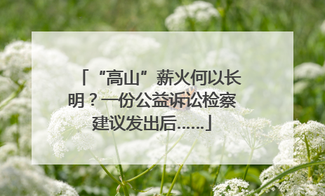 “高山”薪火何以长明？一份公益诉讼检察建议发出后……