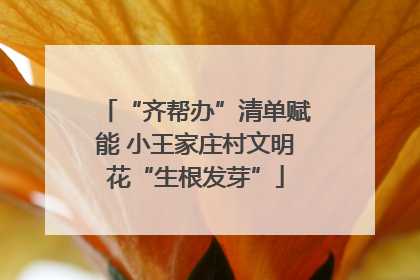 “齐帮办”清单赋能 小王家庄村文明花“生根发芽”